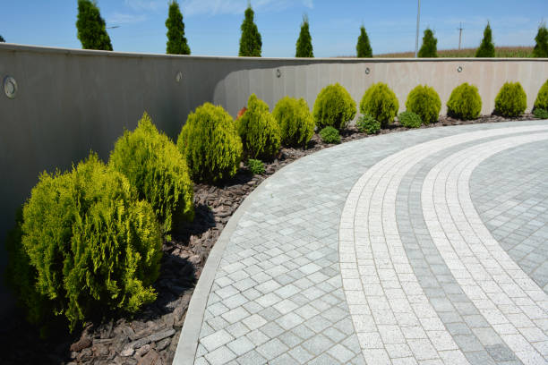Best Driveway Pavers Cost  in Burns, TN