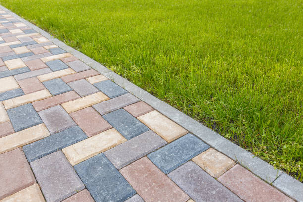 Best Driveway Paving Contractor  in Burns, TN